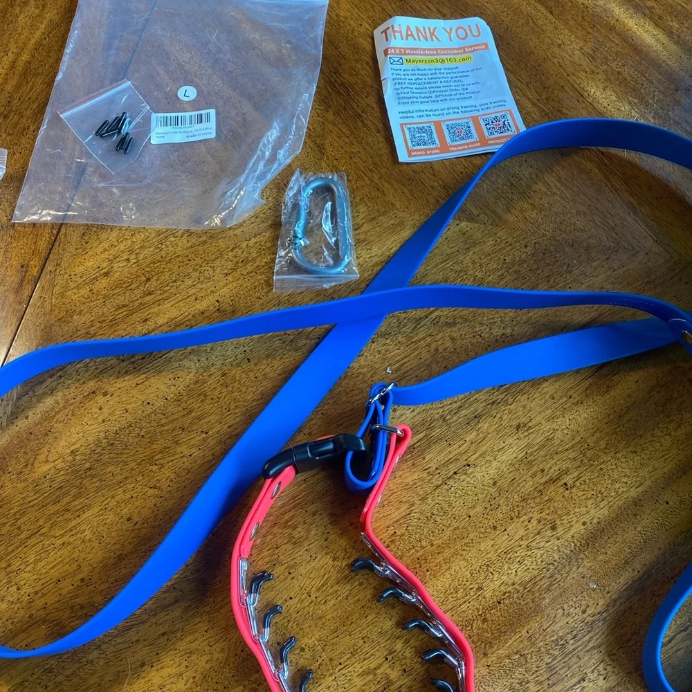 Prong Training Collar with attached leash